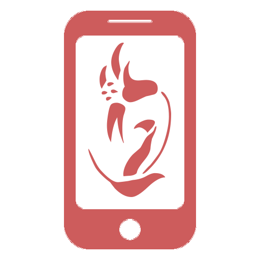 phone